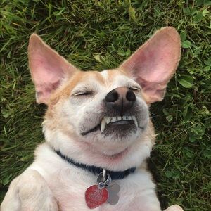 Meet your Posher, Anna